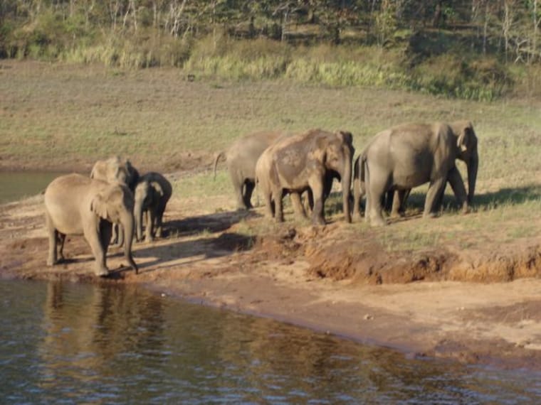 Periyar Wildlife Sanctuary-2